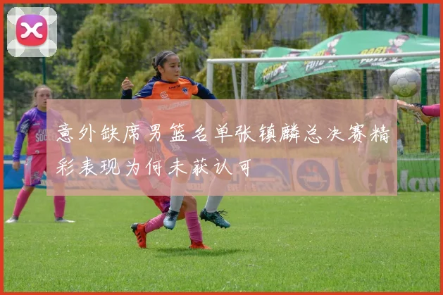 意外缺席男篮名单张镇麟总决赛精彩表现为何未获认可