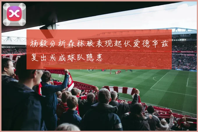 杨毅分析森林狼表现起伏爱德华兹复出或成球队隐患